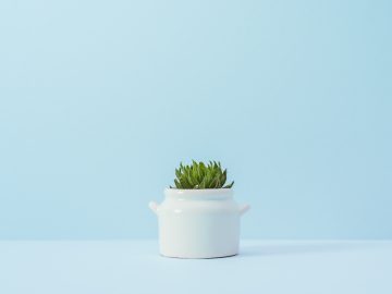 Stop Black Friday from Creeping into Thanksgiving!