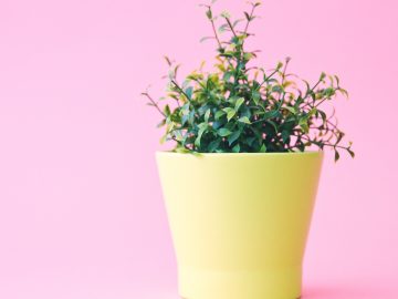 Demand that the UN intervene in Syria and stop the violence